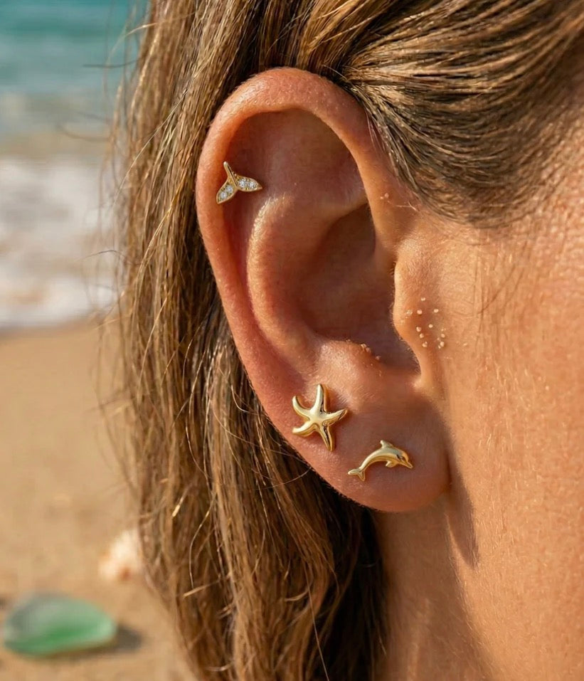 Ensemble boucle d’oreille Évasion Marine