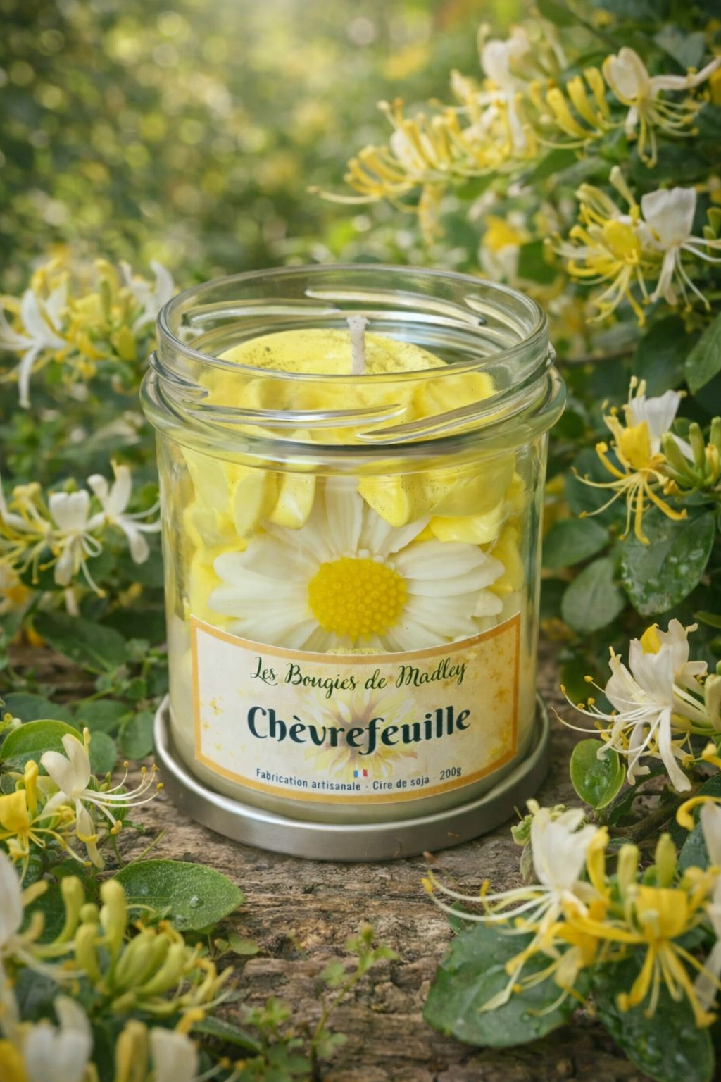 Bougie gourmande Chèvrefeuille
